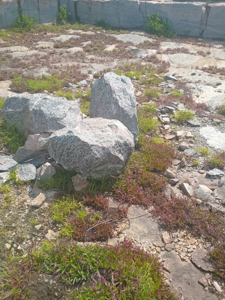 land31